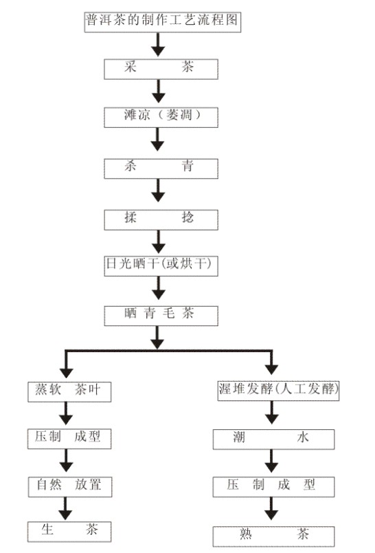 普洱茶制作工艺详解