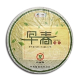 早春圆茶
