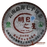 2006明日之星普饼
