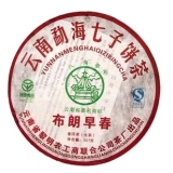 2010布朗早春