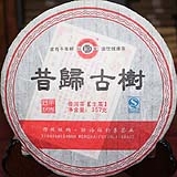 2013昔归古树