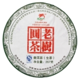 老树圆茶生茶