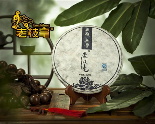 2011成观无量