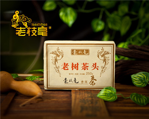 2011老树原味