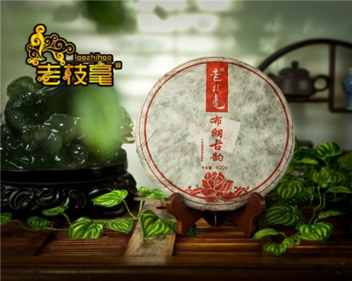 2013布朗古韵