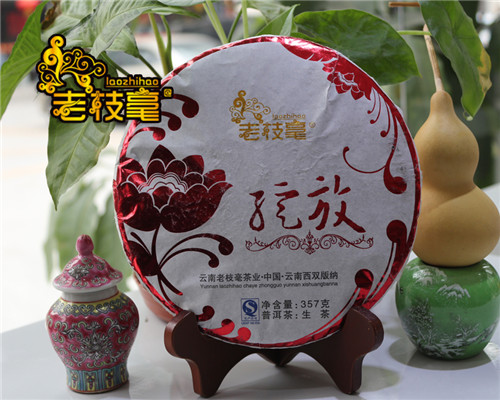 2013绽放