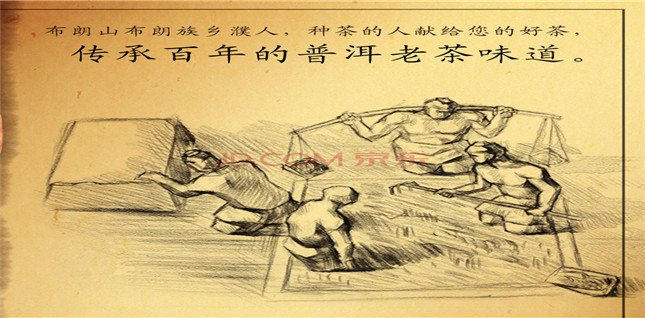 茶与濮人的故事
