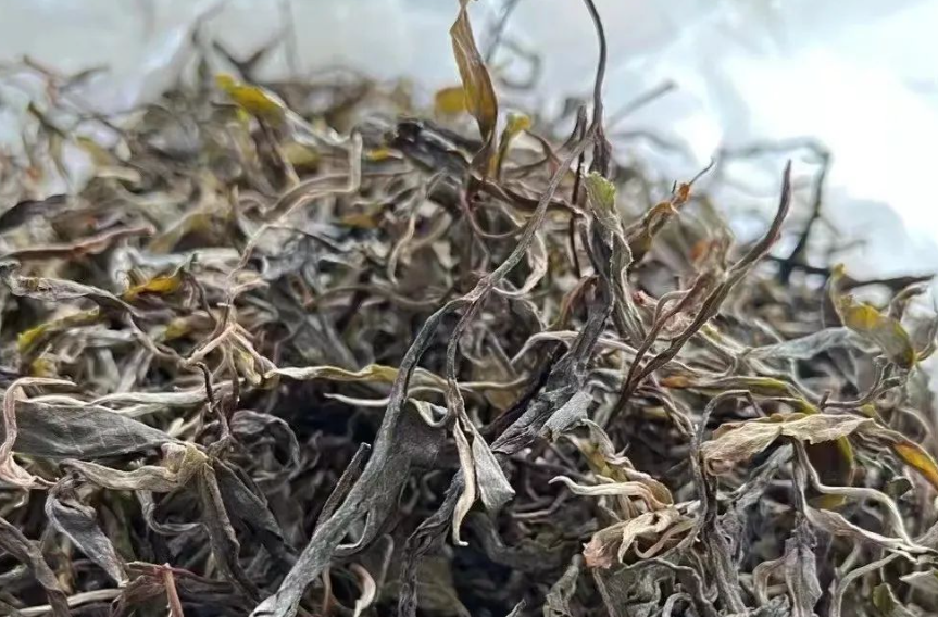 滇红工夫茶一到六级的等级特征